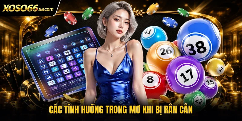 Mơ Bị Rắn Cắn Đánh Con Gì? Tìm Số May Mắn Chỉ Trong 1 Phút 3 Các tình huống trong mơ khi bị rắn cắn