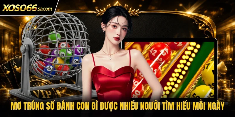 Mơ Trúng Số Đánh Con Gì? Luận Giải Chuẩn Nhất Cùng Xoso66 2 Mơ trúng số đánh con gì được nhiều người tìm hiểu mỗi ngày