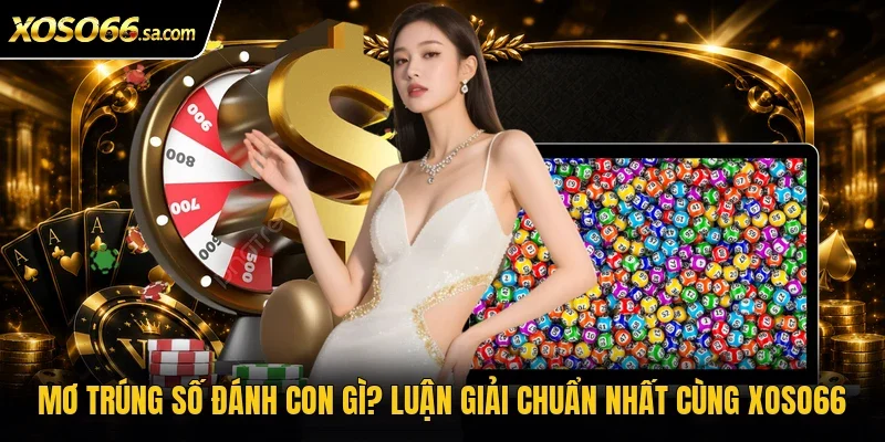 Mơ Trúng Số Đánh Con Gì? Luận Giải Chuẩn Nhất Cùng Xoso66 1 Mơ trúng số đánh con gì